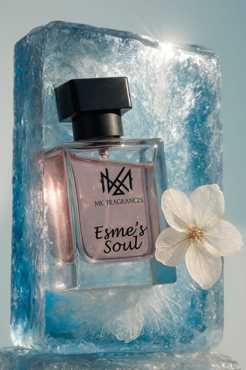 WhatsApp Image 2025-08-21 at 03.17.01_eb3f1524